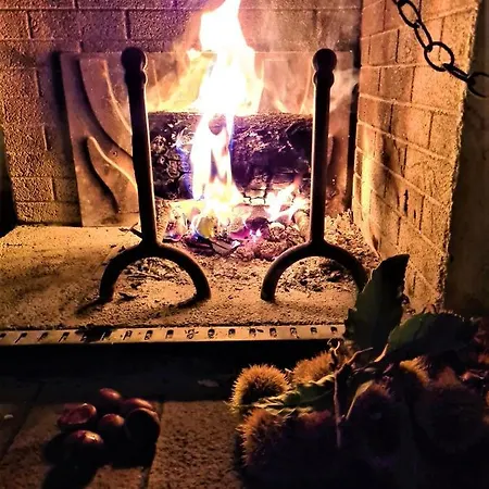 Incantevole Casa Sul Fiume, Relax E Natura Ai Piedi Della Alpi Apuane Casa vacanze *